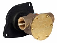 1" bronze pump, <b>80-size</b>, flange-mounted with BSP threaded ports